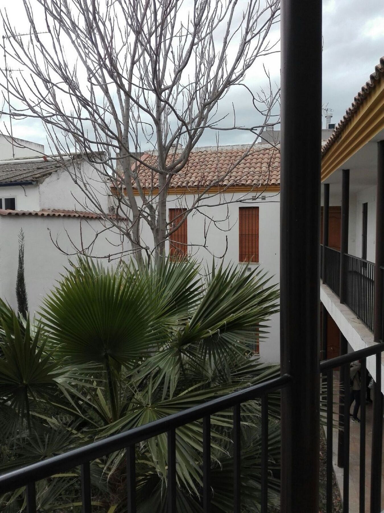 Apartamento Alfonso XII Cordoue Extérieur photo